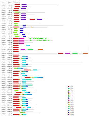 Genome-wide identification and characterization of the MADS-box gene ...