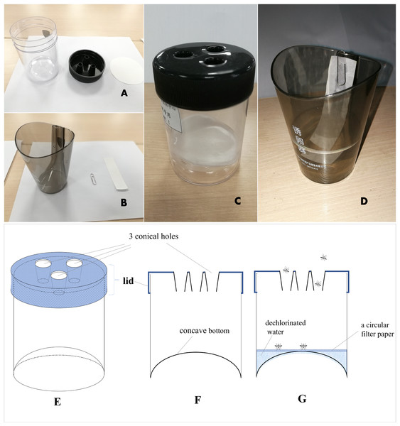 Mosq-ovitrap (A and C) and Ovitrap (B and D) used in this study; (E): a three-dimensional diagram of MOT; (F): a cross-sectional diagram of MOT; (G): a cross-sectional diagram of MOT with water and filter paper.