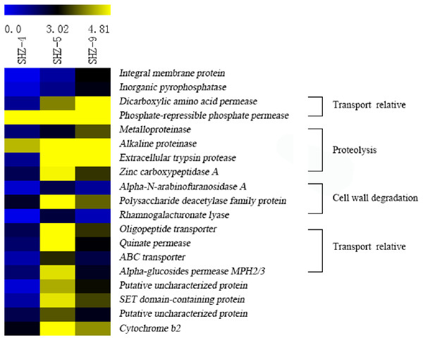 Expression levels of 19 unigenes selected according to the pathogenicities of SHZ-4, SHZ-5, and SHZ-9.