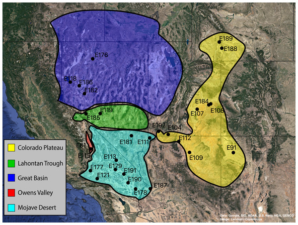 Collection localities of Trogloderus molecular vouchers and biogeographic regions.