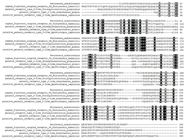 Multiple alignment analysis of PaGPCR with other GPCR protein.