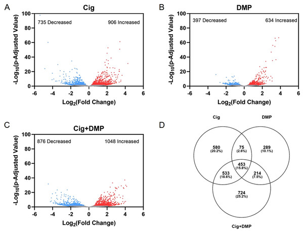 Exposure to ciglitazone, DMP, or ciglitazone + DMP results in significant effects on the transcriptome at 24 hpf.