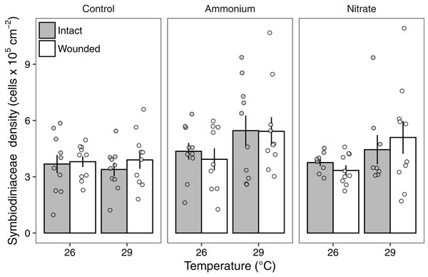 Symbiodiniaceae densities of Pocillopora meandrina corals across treatments.