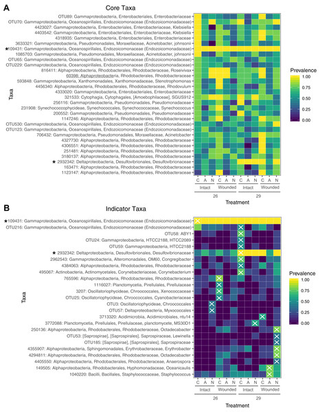 Prevalence of core and indicator microbial taxa by treatment.