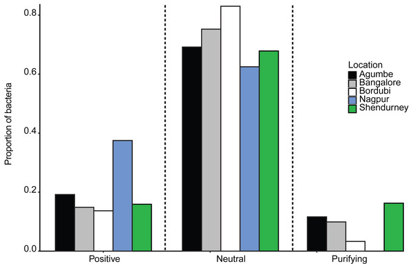 Barplots show the proportion of bacteria whose distribution is consistent with positive selection, neutral assembly, or negative/purifying selection, for dragonflies sampled from a given location.