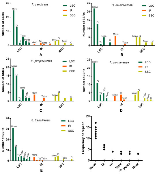 Numbes and repeat frequency of SSRs in five Tordyliinae species.