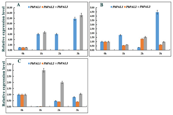 Hormone response pattern analysis of PbPALs.