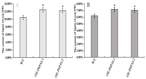Determination of lignin content in A. thaliana stems and leaves.