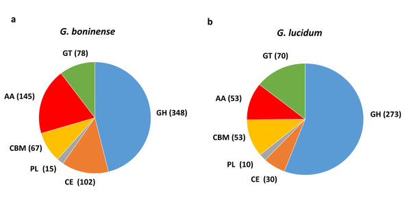 Comparison of carbohydrate-active enzymes (CAZymes) in Ganoderma spp.