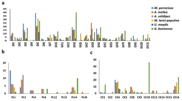 Profiling of CWDEs in selected phytopathogenic Basidiomycota fungi.