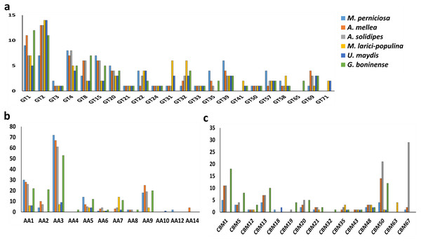 Profiles of carbohydrate-active enzymes (CAZymes) in phytopathogenic Basidiomycota fungi.