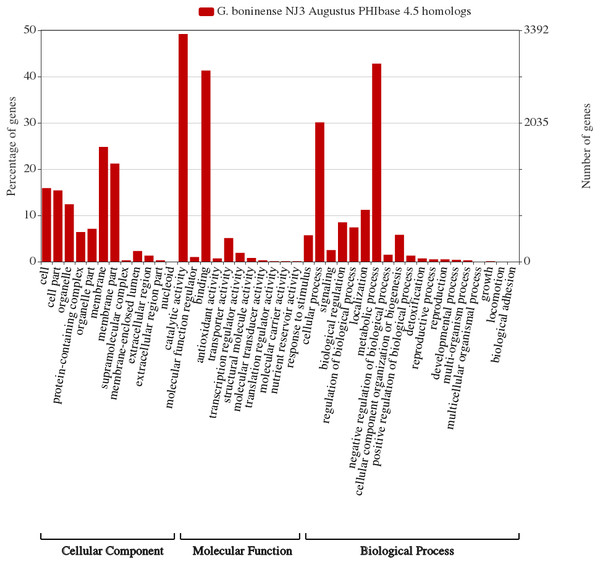 G. boninense NJ3 Augustus predicted amino acid sequences PhiBase 4.5 homologs classified based on gene ontologies.