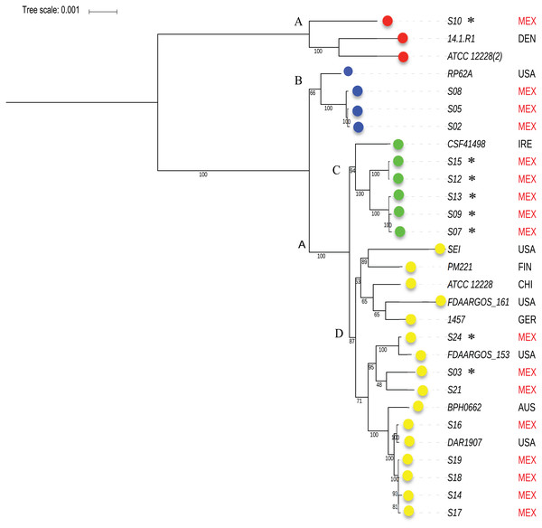Phylogenetic relationships of S. epidermidis from the Children’s Hospital (INPer) and S. epidermidis selected from GenBank.