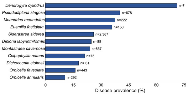 Prevalence of the Stony Coral Tissue Loss Disease for the 11 most susceptible species across 82 reef sites in the Mexican Caribbean (n = number of colonies).