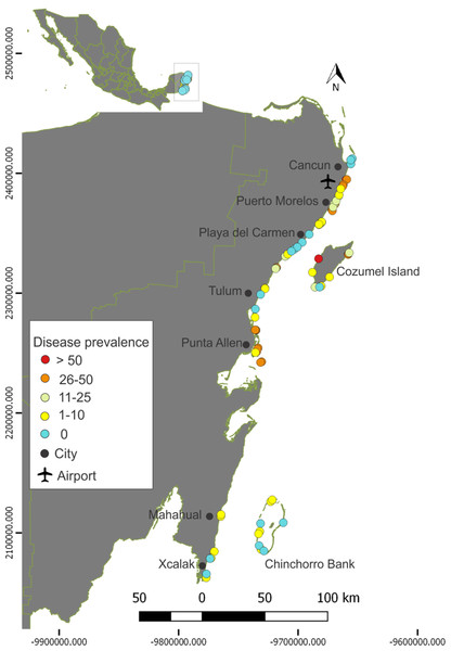 Prevalence of the Stony Coral Tissue Loss Disease in the Mexican Caribbean.