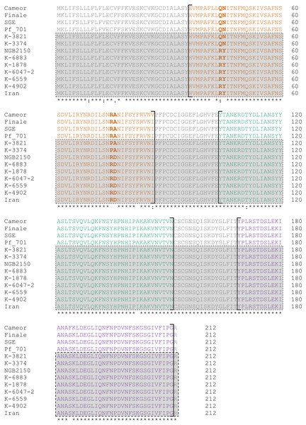 Alignment of the putative receptor domain sequences of LykX protein from lines represented in Table 2.