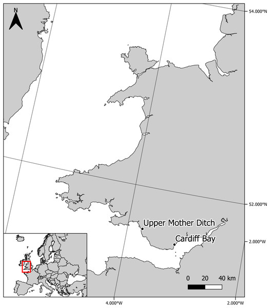 Location of experimental killer shrimp populations living in sympatry (Cardiff Bay) and allopatry (Upper Mother Ditch) with zebra mussel.