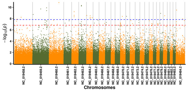 Manhattan plot for genome-wide association study on GLM model.