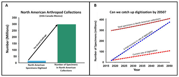 The grand challenge for North American arthropod collections.