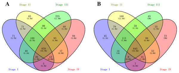  Venn Diagram showing the numbers of overlap differentially expressed genes in the four stages clear cell renal cell carcinoma: (A) the numbers of upregulated genes in four stages of ccRCC patients; (B) the numbers of downregulated genes in four stages of ccRCC patients.