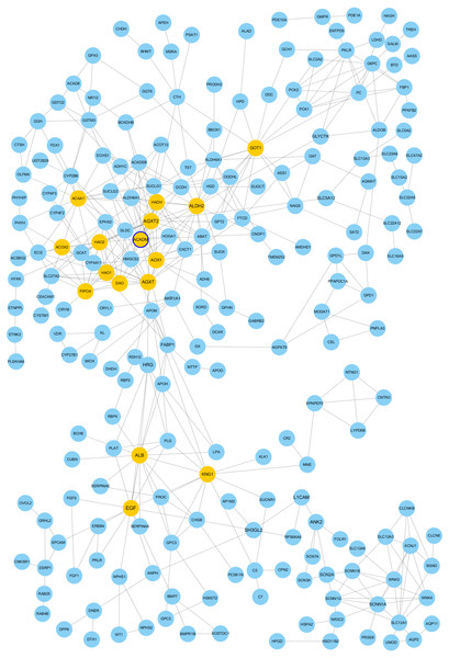 Protein-protein interaction network among down–regulated genes detected in ccRCC (GSE53757 dataset).