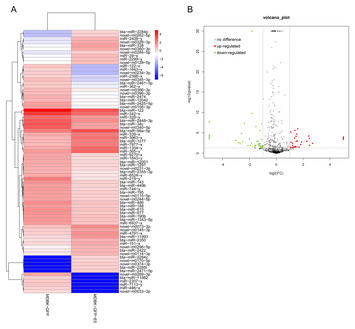 Comprehensive analysis of differentially expressed microRNAs and mRNAs ...