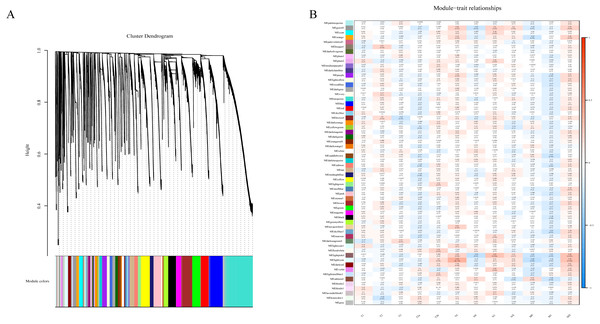 Results of Weight Gene Co-expression Network Analysis (WGCNA).