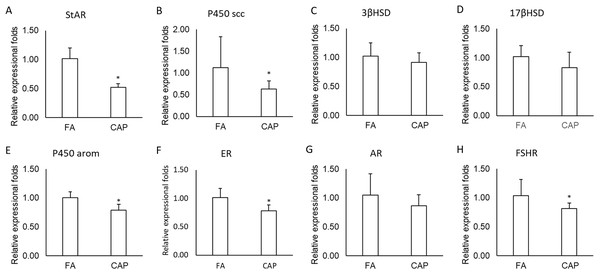 The expressions of testosterone synthesis and function related genes.