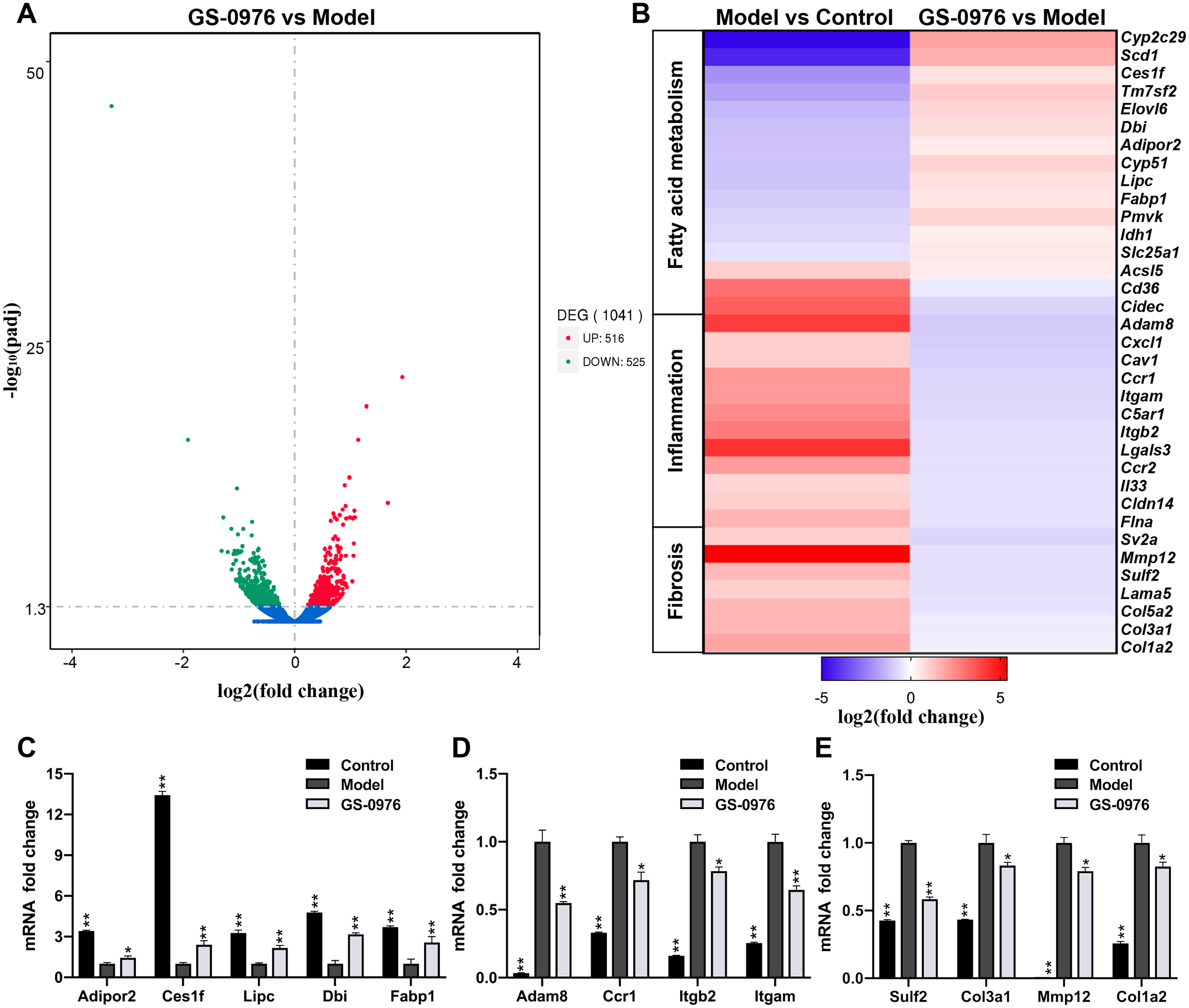 Comparative Rna-sequencing Profiled The Differential Gene Expression Of 