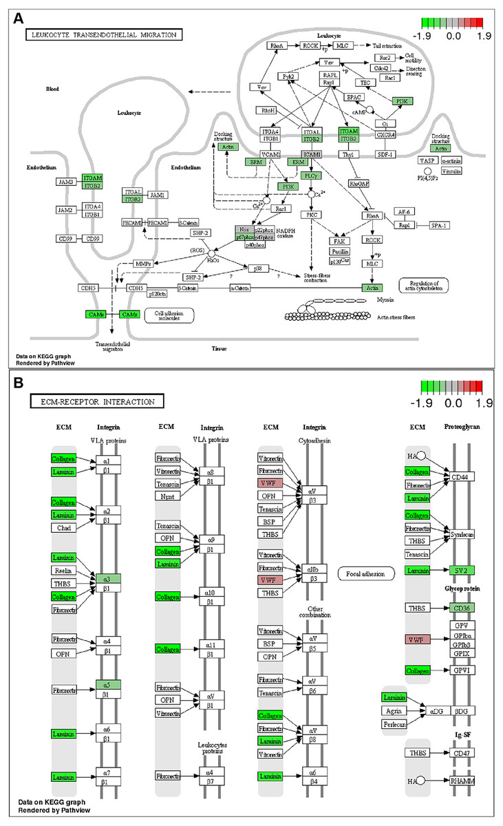 Comparative RNA-sequencing profiled the differential gene expression of ...