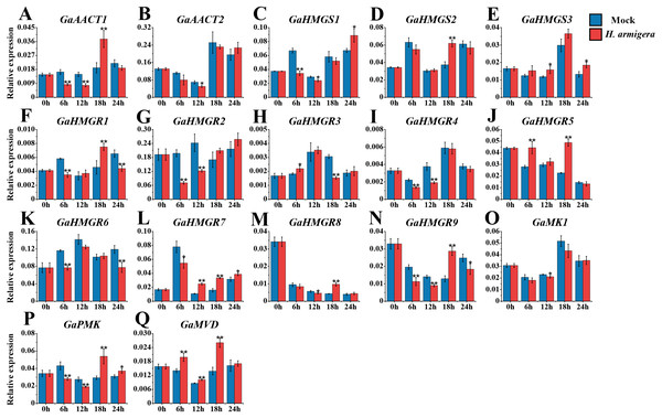 Expression analysis of the MVA pathway genes in response to H. armigera infestation.