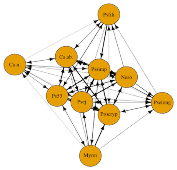 Competitive network of arboreal ants.