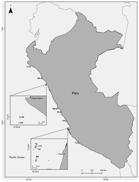 Location of the studied guano bird islands and headland off Perú.