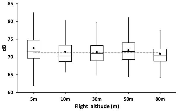 Box plot of sound levels (dB) measurements of drones hovering at different altitudes over a colony of breeding guanay cormorants with chicks on Isla Pescadores.