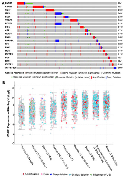 The mutational landscape for the twenty linker genes in TCGA tumour samples of different cancers by up-regulated gene expression.