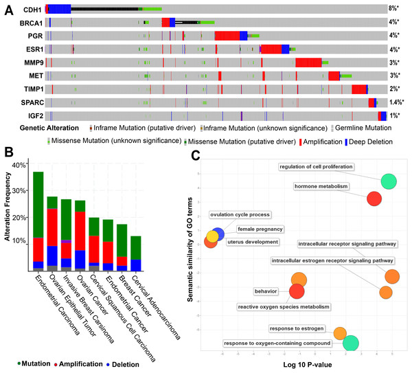Sample-based mutational and functional analysis for the nine genes common to endometriosis and four cancers of women with high amplification rate.