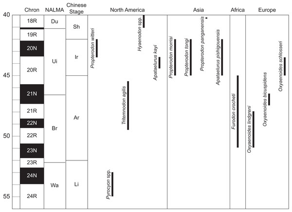 Temporal distribution of significant taxa discussed in this work.