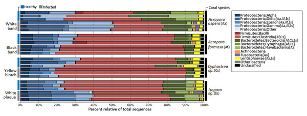 Relative abundance of bacterial distribution profiles at class level within the coral metagenomic samples obtained from healthy and diseased coral specimens.