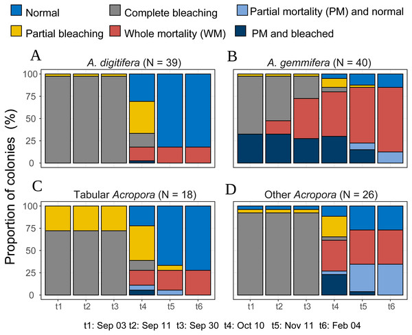 Bleaching and post-bleaching mortality status of Acropora colonies (expressed as percentage of colonies) at each survey.