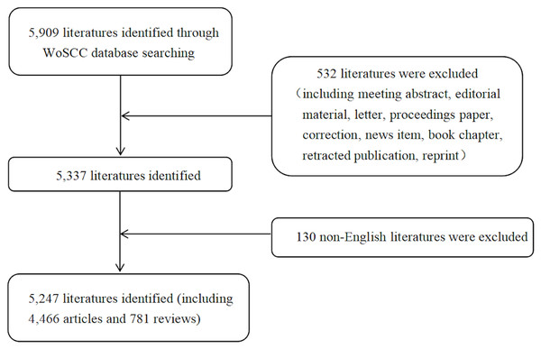 Flow chart of literature filtering included in this study.