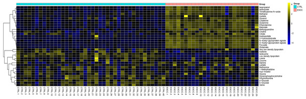 Hierarchical cluster analysis of serum metabolic profile for distinguishing ESCC from healthy controls (CTRL).