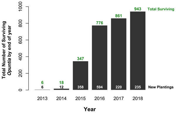 Total Opuntia spp. restoration from 2013 to 2018 across Baltra, Española, Floreana, Plaza Sur, San Cristóbal, and Santa Cruz islands.