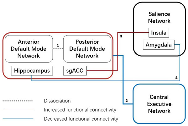 Aberrant functional connectivity between three networks.