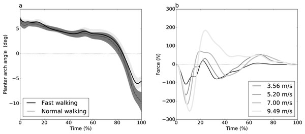 Experimental datasets.