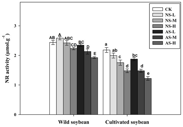 Changes in nitrate reductase (NR) activity of wild and cultivated soybean leaves under control and salt stress treatments.