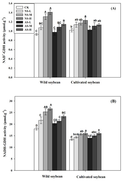 Changes in NAD-GDH (A) and NADH-GDH (B) activities of wild and cultivated soybean leave under control and salt stress treatments.