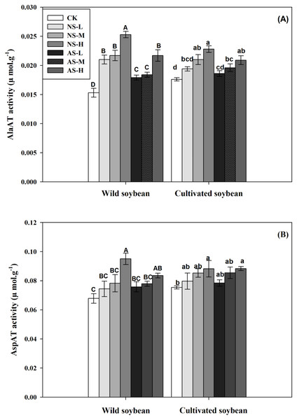 Changes in AlaAT (A) and AspAT (B) activities of wild and cultivated soybean leaves under control and salt stress treatments.