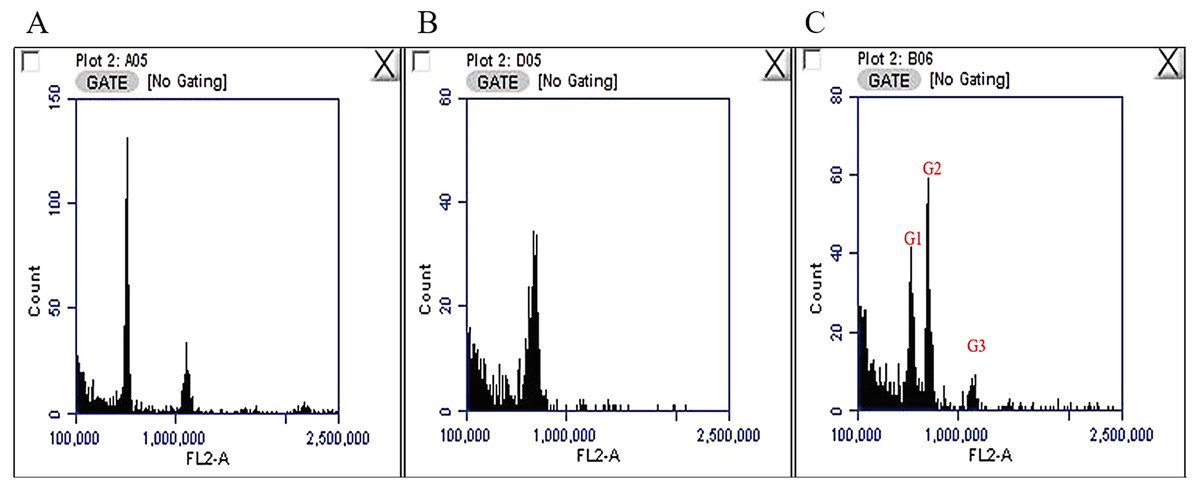 Genome Size, Chromosome Number Determination, And Analysis Of The ...