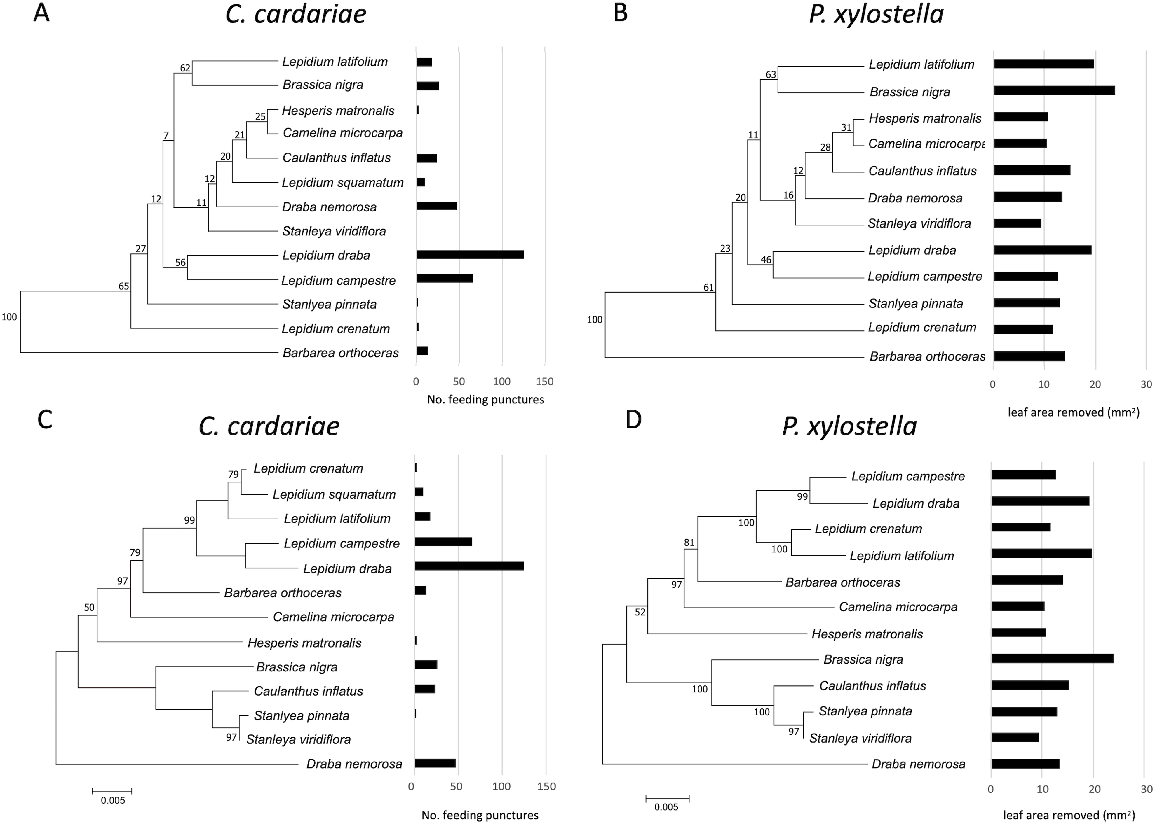 Feeding Intensity Of Insect Herbivores Is Associated More Closely With Key Metabolite Profiles Than Phylogenetic Relatedness Of Their Potential Hosts Peerj