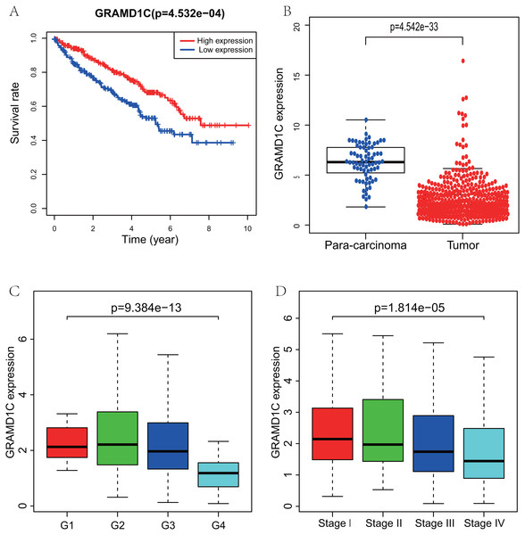 Correlations of GRAMD1C expression with several key clinicopathologic characteristics.